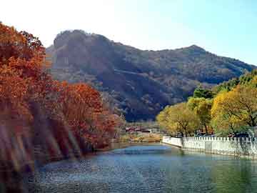 澳门天天免费精准大全，佛山到山东物流